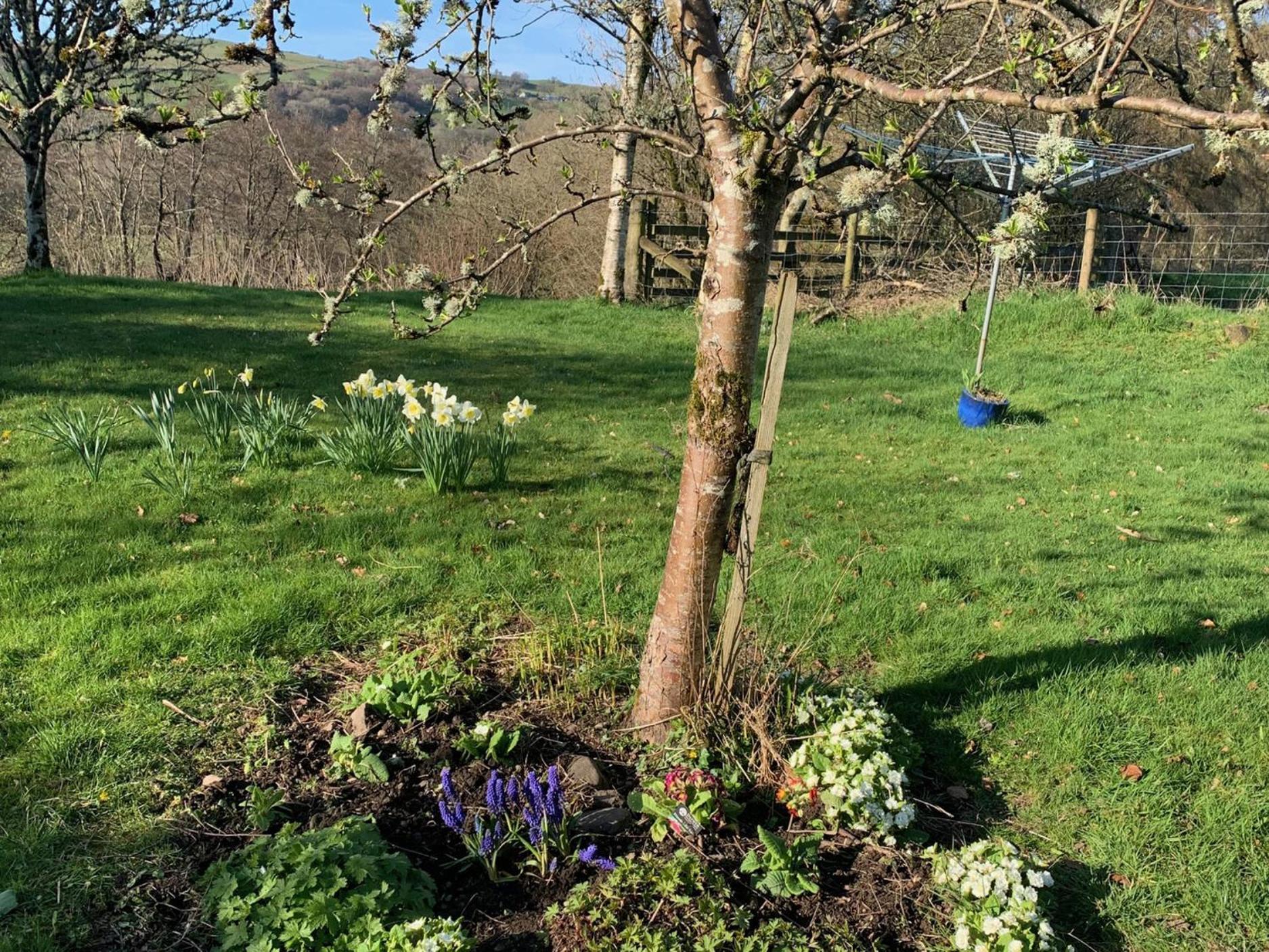 Beudy Dolpebyll Villa Llangadfan Luaran gambar