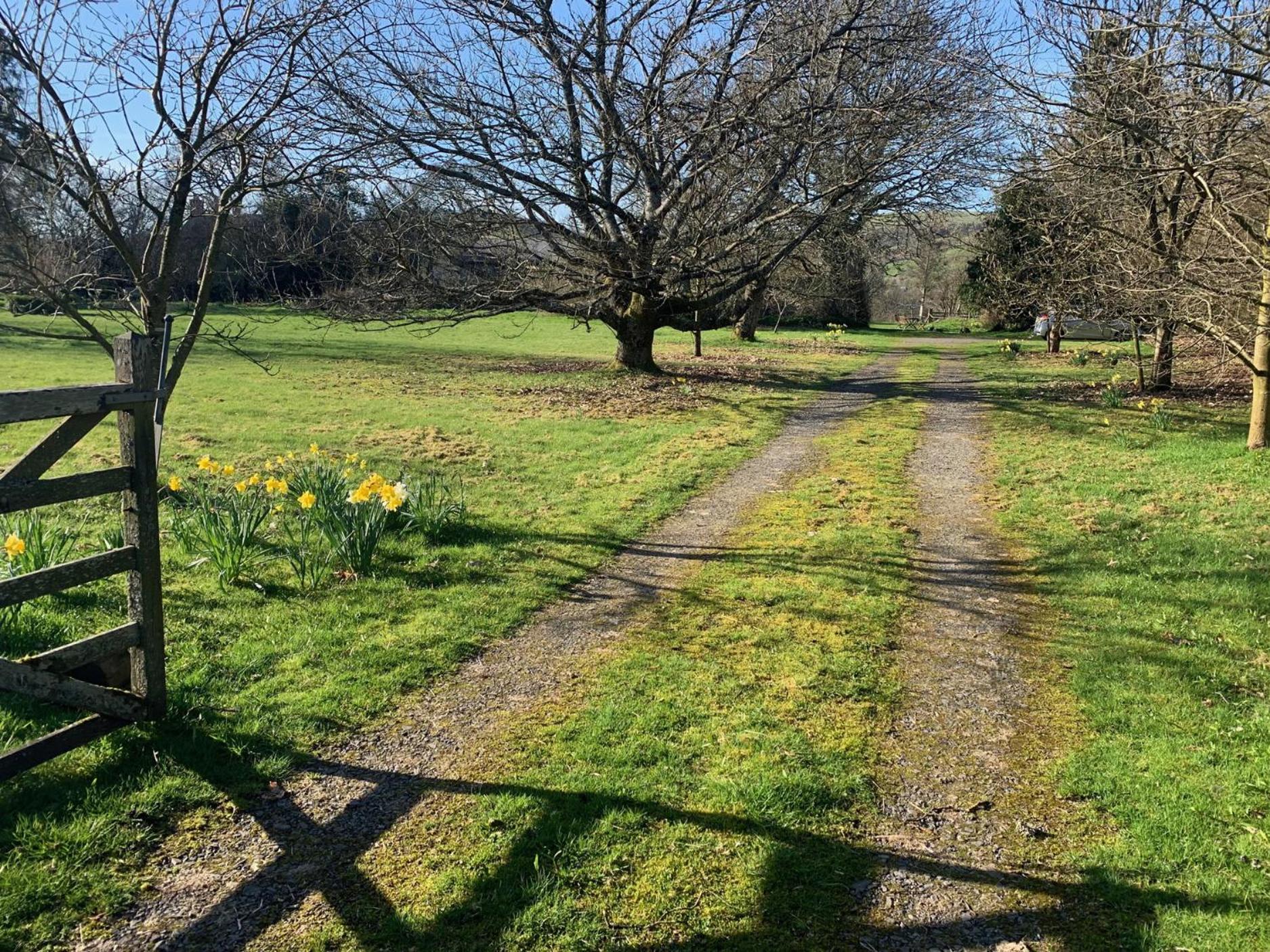 Beudy Dolpebyll Villa Llangadfan Luaran gambar