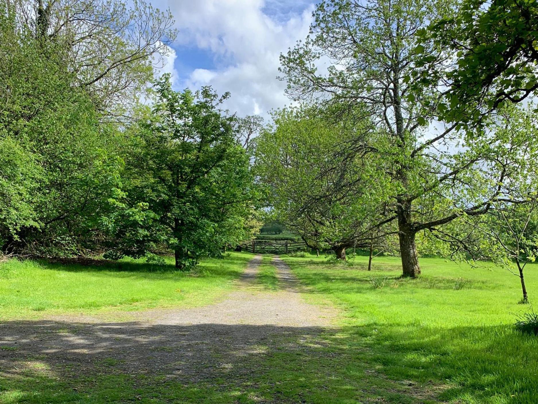 Beudy Dolpebyll Villa Llangadfan Luaran gambar